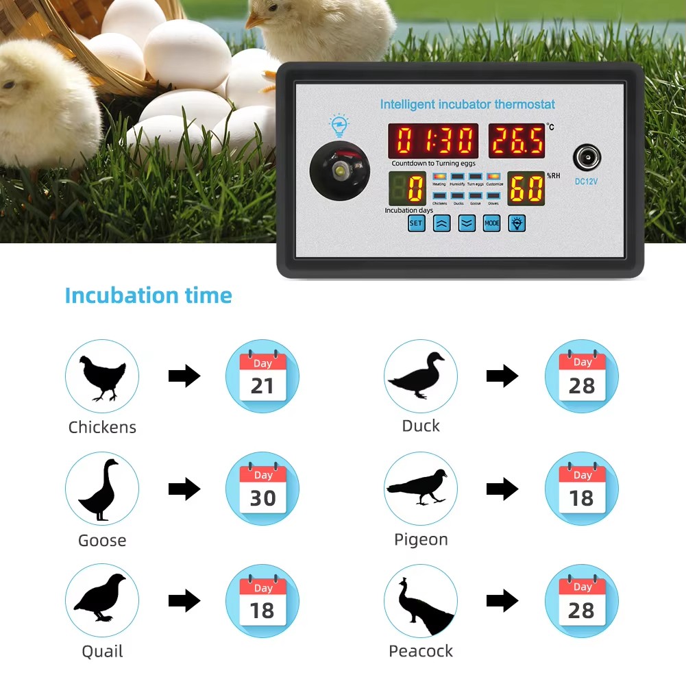 Poultry Incubator - ZFX-W9002 12V/220V Kuluçka Makinesi Kontrol Cihazı,