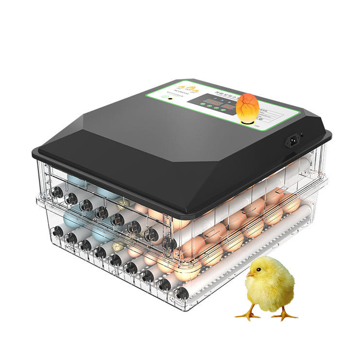 Poultry Incubator - Yaygın Olarak Kullanılan Otomatik Kümes Hayvanları