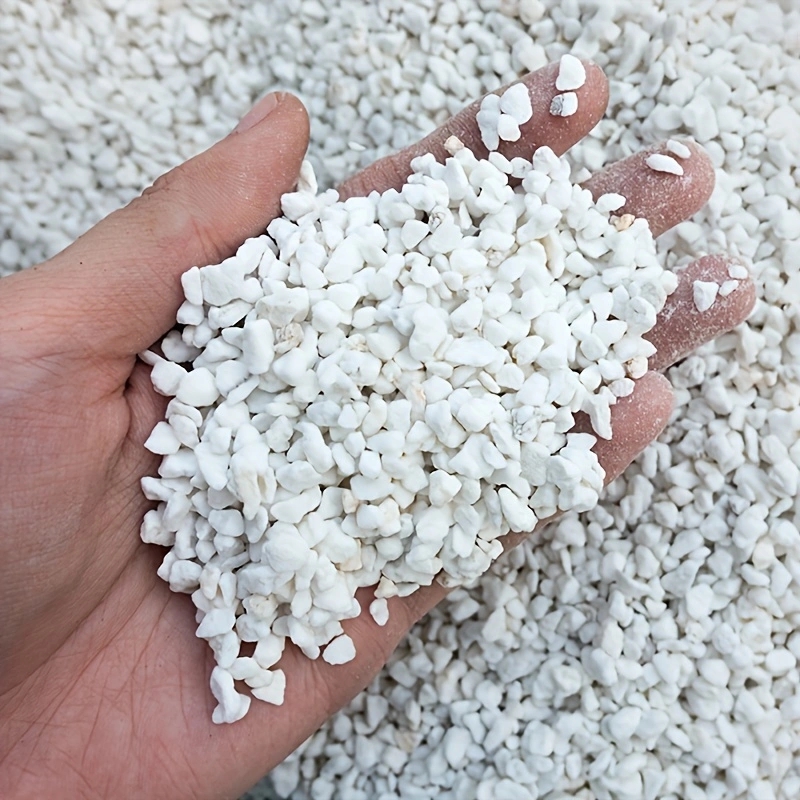 Horticulture Soil Perlite - 1 Paket 3-6mm Bahçıvanlık Perlitleri, Fide