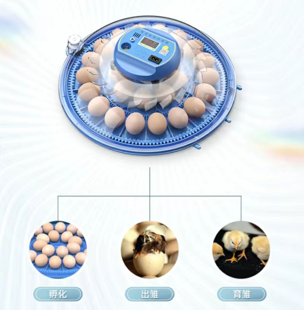 Poultry Incubator - 20/24/36/56/96/112 Yumurtalı Tavuk Yumurta Kuluçka Makinesi