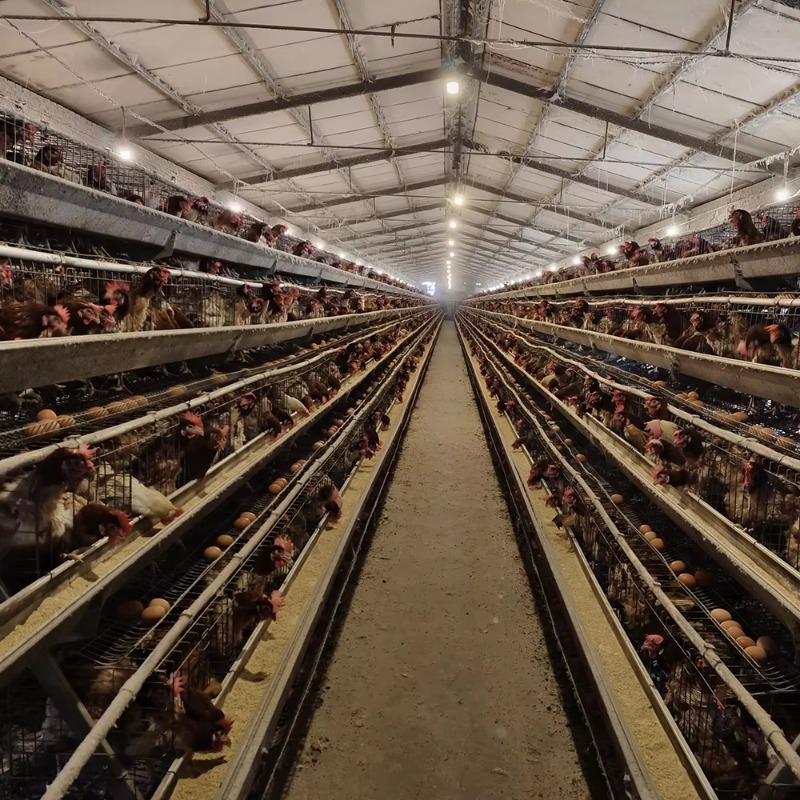 Güney Afrika'da Satılık Ucuz F - Farming Africa incelemesi ve fiyatı
