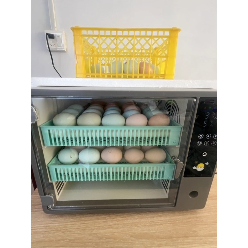 Fabrika Çıkışı 2026 Tam Otomat - Poultry Incubator incelemesi ve fiyatı