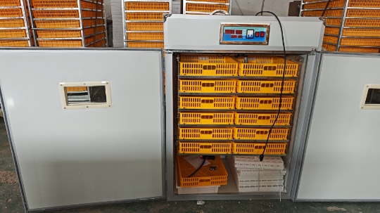 Büyük 1000 Yumurtalık Kuluçka  - Poultry Incubator incelemesi ve fiyatı