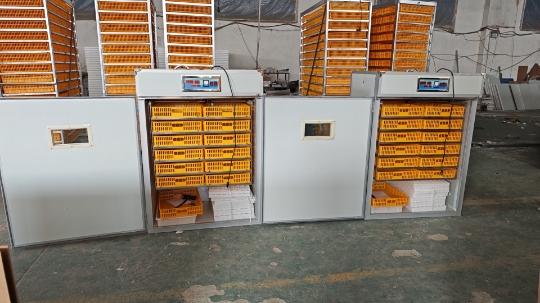 Büyük 1000 Yumurtalık Kuluçka  - Poultry Incubator incelemesi ve fiyatı