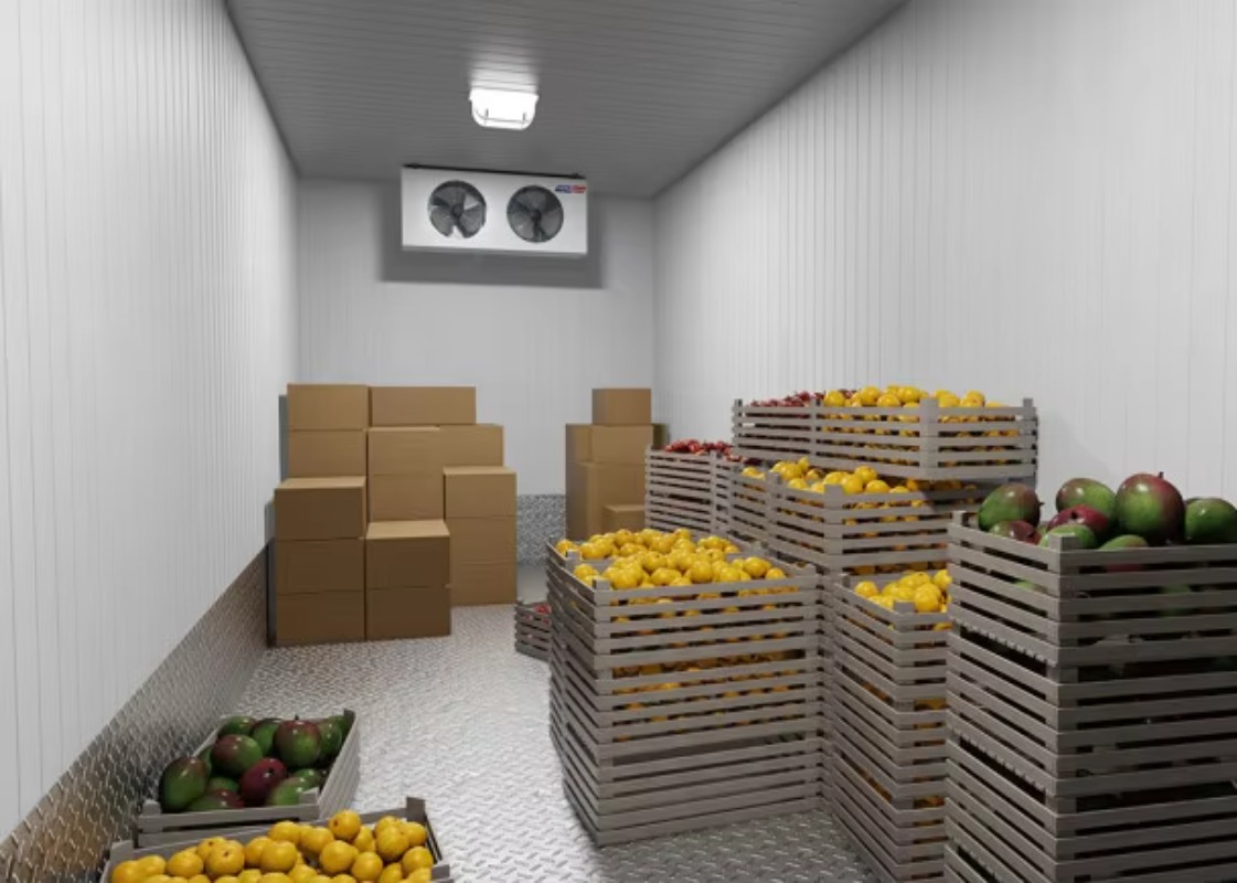 Afrika'daki Şebeke Dışı Çiftli - Farming Africa incelemesi ve fiyatı