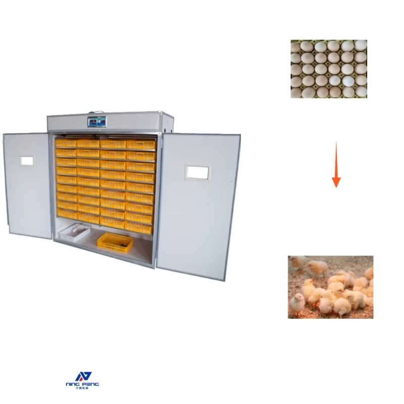 Kümes Hayvanları Yumurta Kuluç - Poultry Incubator incelemesi ve fiyatı