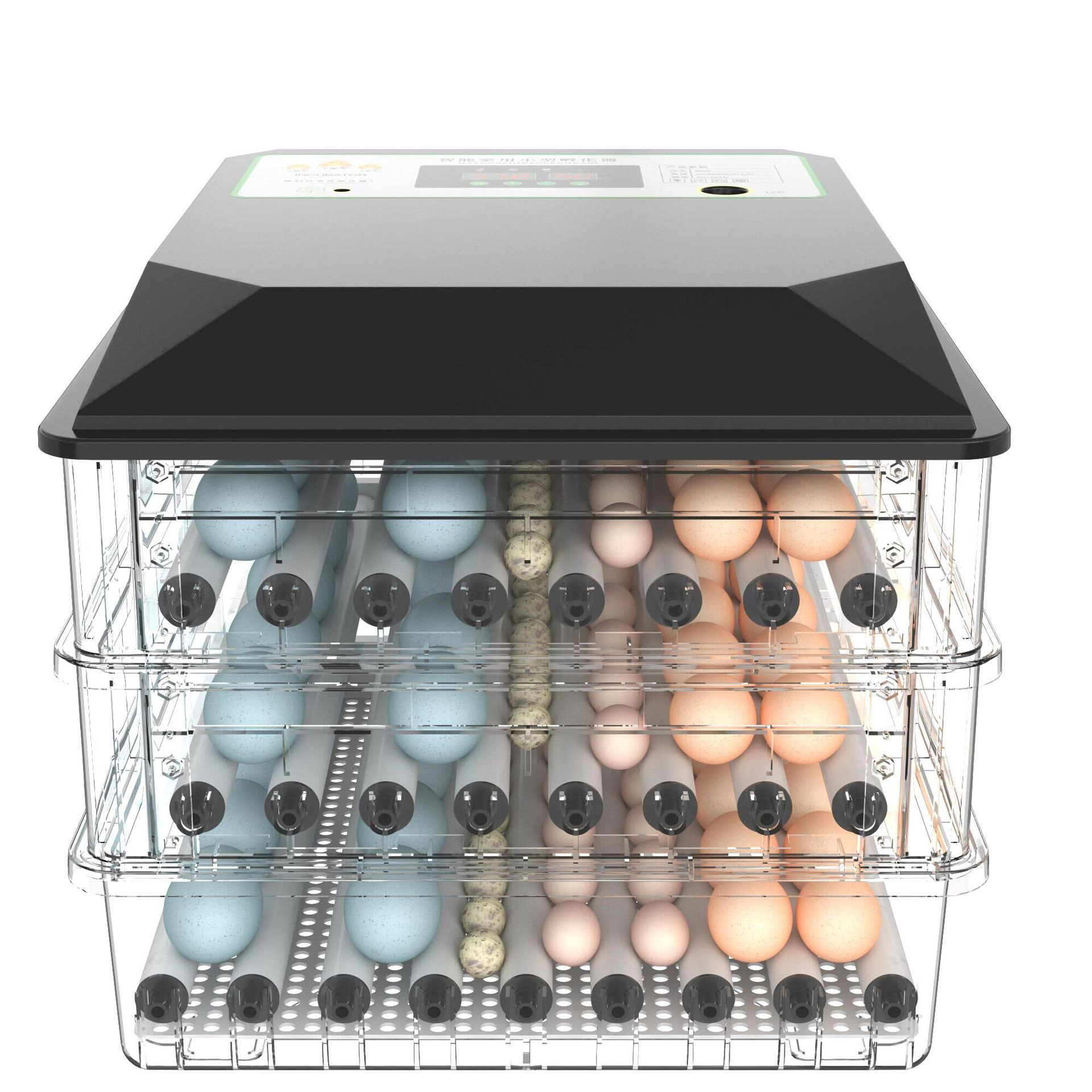 Yaygın Olarak Kullanılan Otoma - Poultry Incubator incelemesi ve fiyatı
