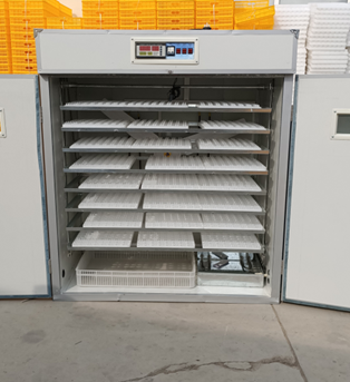 20/24/36/56/96/112 Yumurtalı T - Poultry Incubator incelemesi ve fiyatı